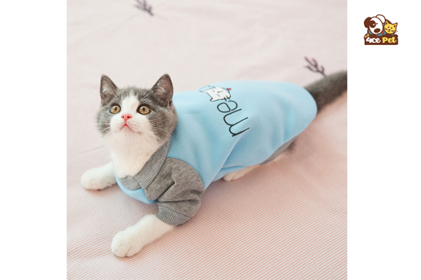 may áo cho mèo tại nhà tiết kiệm thời gian