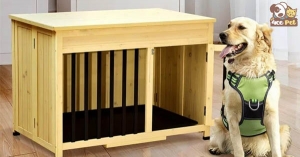 Cách làm chuồng chó bằng gỗ đơn giản ngay tại nhà
